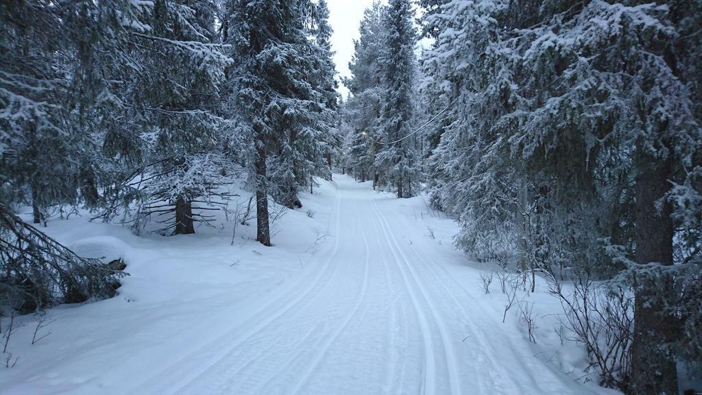 Lapland Snow Cabin Masugnsbyn Экстерьер фото
